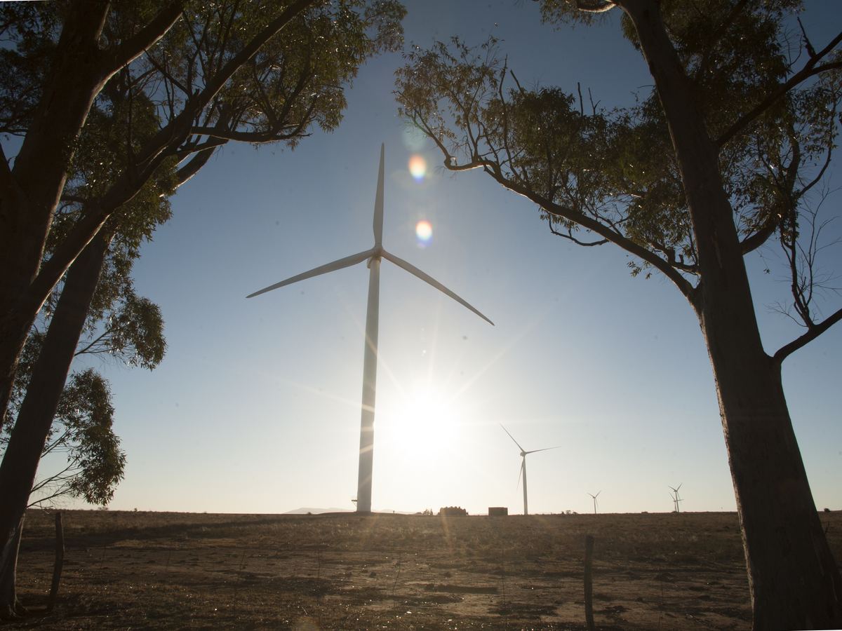 Wind turbine framed by trees against the sun in South Africa